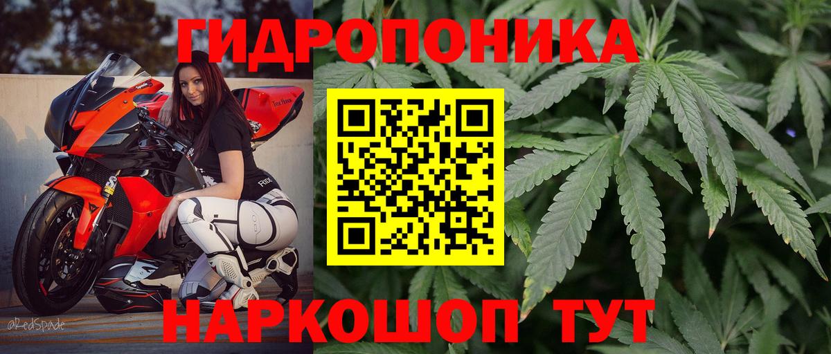 Бошки марихуана LSD WEED  Каннабис Bruce Banner  Шишки марихуана VHQ  Абинск  Вход с VPN 